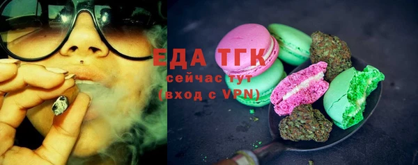 индика Арсеньев