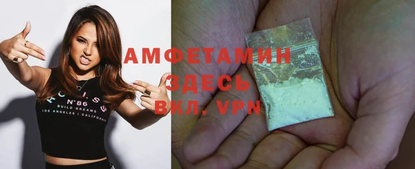 индика Арсеньев