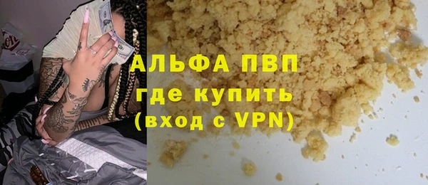 индика Арсеньев