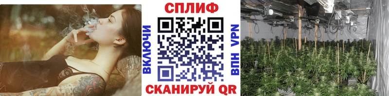 Бошки марихуана марихуана  продажа наркотиков  Кубинка 